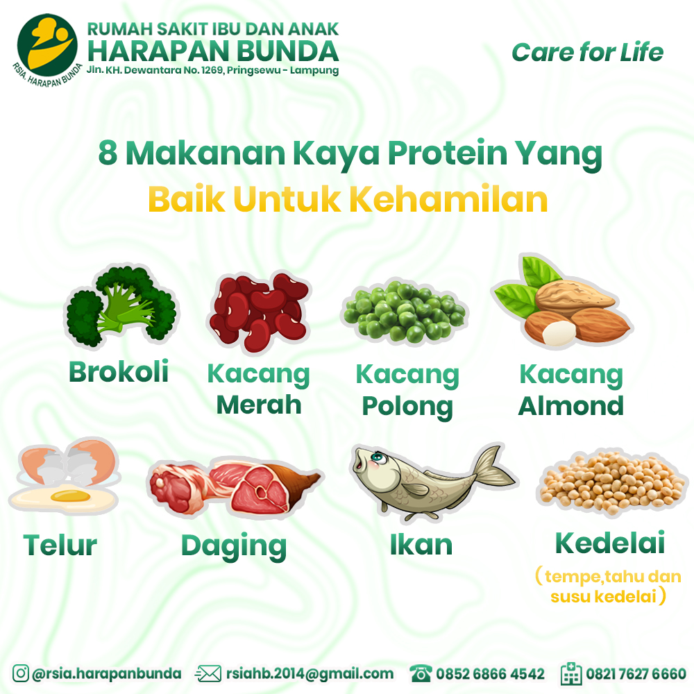 Protein Kehamilan Protein Kehamilan